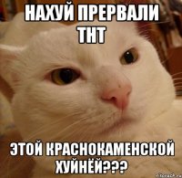 НАХУЙ ПРЕРВАЛИ ТНТ ЭТОЙ КРАСНОКАМЕНСКОЙ ХУЙНЁЙ???