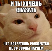и ты хочешь сказать что встретишь рождество не со своим парнем