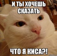 и ты хочешь сказать что я киса?!