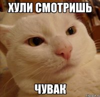 Хули смотришь Чувак