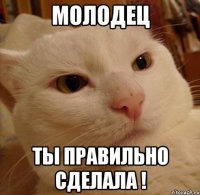Молодец Ты правильно сделала !
