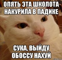 ОПЯТЬ ЭТА ШКОЛОТА НАКУРИЛА В ПАДИКЕ СУКА, ВЫЙДУ ОБОССУ НАХУЙ
