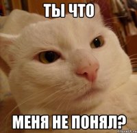 Ты что Меня не понял?