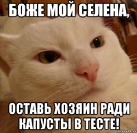 Боже мой Селена, оставь хозяин ради капусты в тесте!