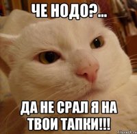 Че нодо?... Да не срал я на твои тапки!!!