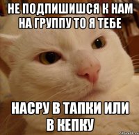 Не подпишишся к нам на группу то я тебе НАСРУ В ТАПКИ ИЛИ В КЕПКУ