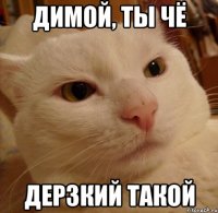 Димой, ты чё дерзкий такой