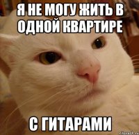 Я не могу жить в одной квартире С гитарами