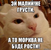 Эй малий!не грусти, А то морква не буде рости!