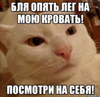 Бля опять лег на мою кровать! Посмотри на себя!