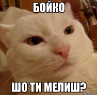 Бойко шо ти мелиш?