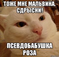 тоже мне Мальвина. Сдрысни! псевдобабушка Роза