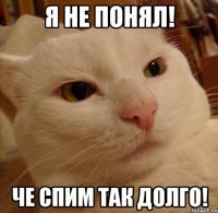 я не понял! че спим так долго!