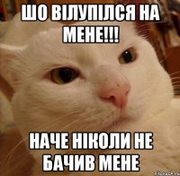 ШО ВІЛУПІЛСЯ НА МЕНЕ!!! Наче ніколи не бачив мене