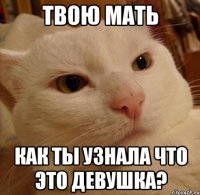 твою мать как ты узнала что это девушка?