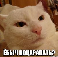  ЁБЫЧ ПОЦАРАПАТЬ?