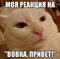 Моя реакция на "Вовка, привет!"