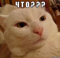 Ч Т О ? ? ? 
