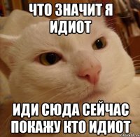 ЧТО ЗНАЧИТ Я ИДИОТ ИДИ СЮДА СЕЙЧАС ПОКАЖУ КТО ИДИОТ