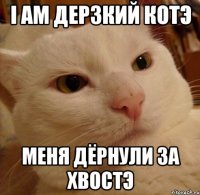 I am Дерзкий КотЭ меня дёрнули за ХвостЭ