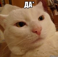 Да* 