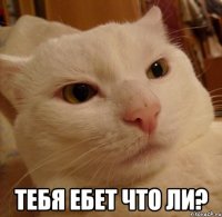  ТЕБЯ ЕБЕТ ЧТО ЛИ?