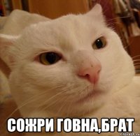  Сожри говна,брат