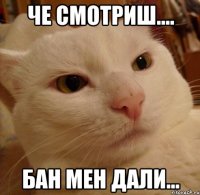 ЧЕ СМОТРИШ.... БАН МЕН ДАЛИ...