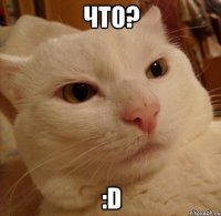 Что? :D