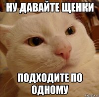 ну давайте щенки подходите по одному