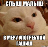 слыш малыш в меру употребляй гашиш