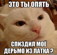 Это ты опять Спиздил моё дерьмо из латка ?