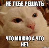 не тебе решать что можно а что нет
