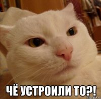  чё устроили то?!