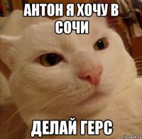 Антон я хочу в Сочи делай герс