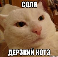 СОЛЯ ДЕРЗКИЙ КОТЭ