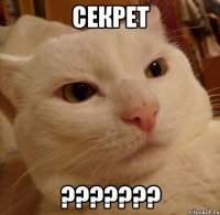 СЕКРЕТ ???????