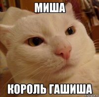 Миша Король ГАШИША