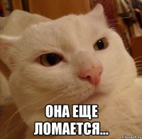 она еще ломается...