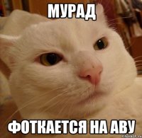 МУРАД ФОТКАЕТСЯ НА АВУ
