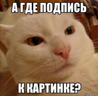 а где подпись к картинке?