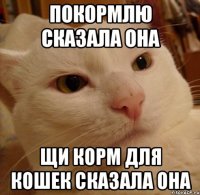 Покормлю сказала она Щи корм для кошек сказала она