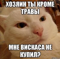 Хозяин ты кроме травы мне вискаса не купил?