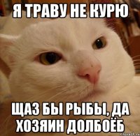 Я ТРАВУ НЕ КУРЮ ЩАЗ БЫ РЫБЫ, ДА ХОЗЯИН ДОЛБОЁБ