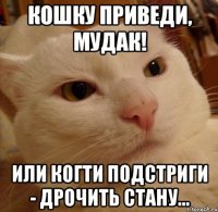 Кошку приведи, мудак! Или когти подстриги - дрочить стану...