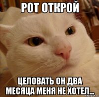 Рот открой целовать он два месяца меня не хотел...