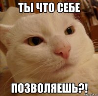 Ты что себе Позволяешь?!