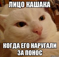 лицо кашака когда его наругали за понос