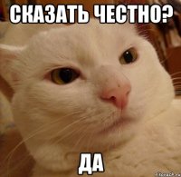 Сказать честно? ДА