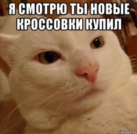 Я СМОТРЮ ТЫ НОВЫЕ КРОССОВКИ КУПИЛ 